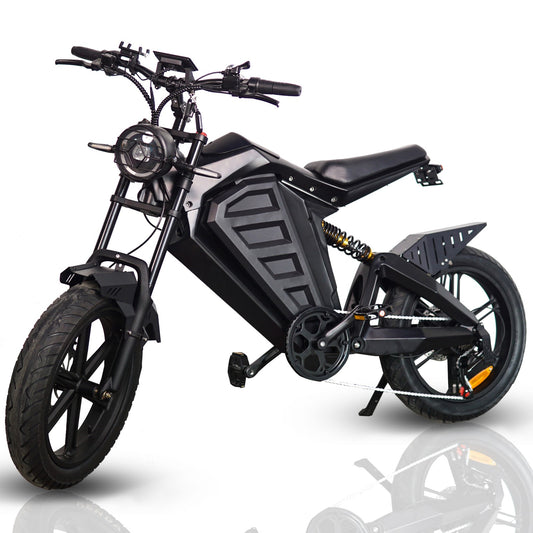 EGOBIKE TOP-SPEED Electric Bike