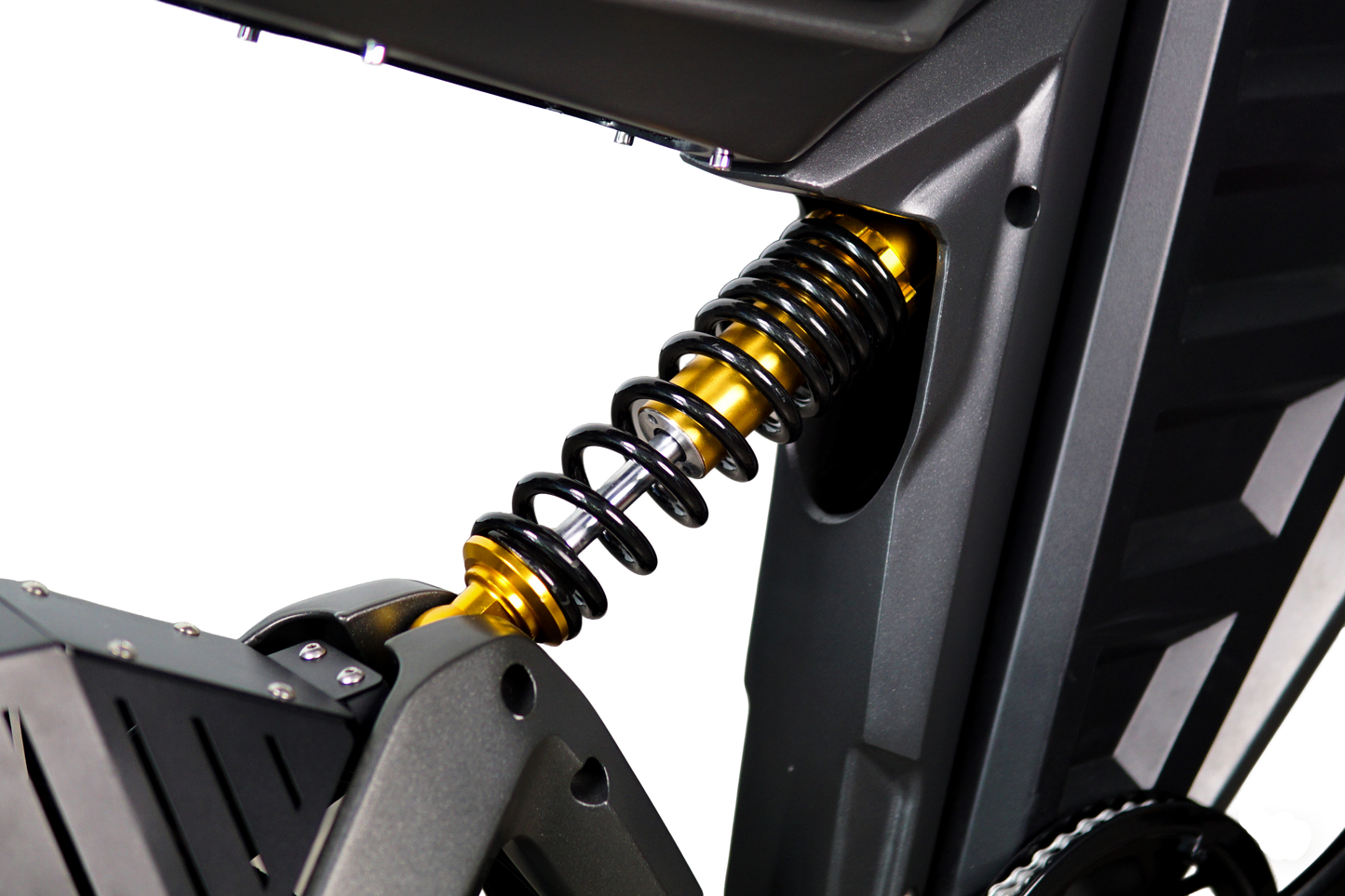 EGOBIKE TOP-SPEED Electric Bike