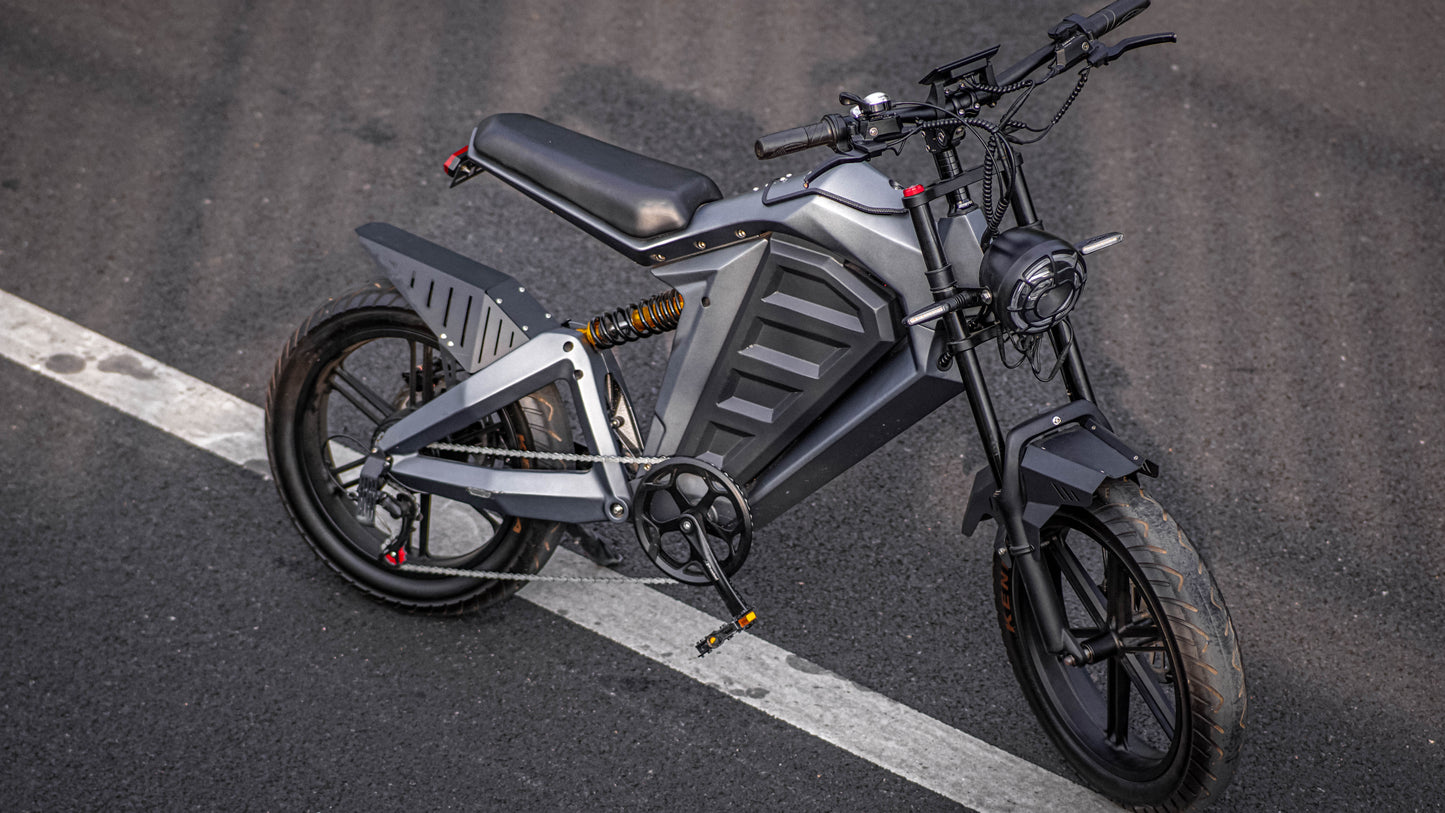 EGOBIKE TOP-SPEED Electric Bike