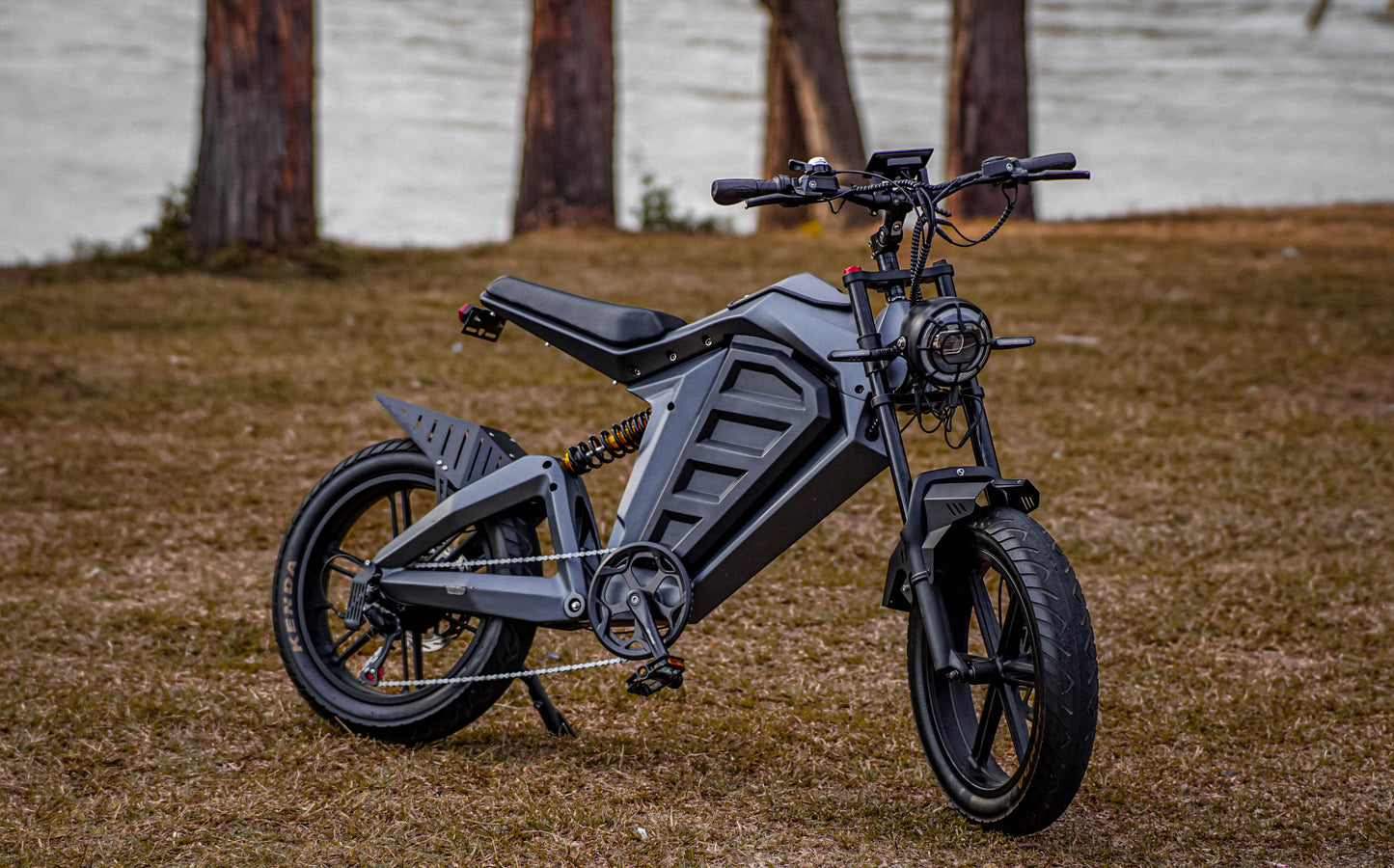 EGOBIKE TOP-SPEED Electric Bike