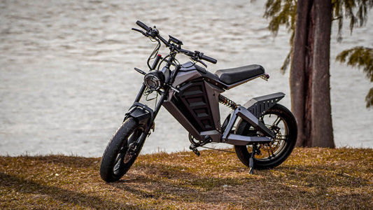 'TOP-SPEED' All-Round High-Performance Electric Bike: Powerful, Safe, and Comfortable