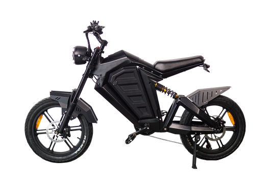 EGOBIKE TOP-SPEED Electric Bike